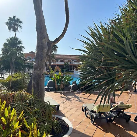 شقة Wonderful In Tenerife Royal Gardens Resort! بلايا ذي لاس أميريكاس